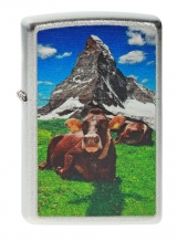images/productimages/small/Zippo Swiss Cow 2003905.jpg